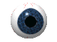 eye03june1.gif